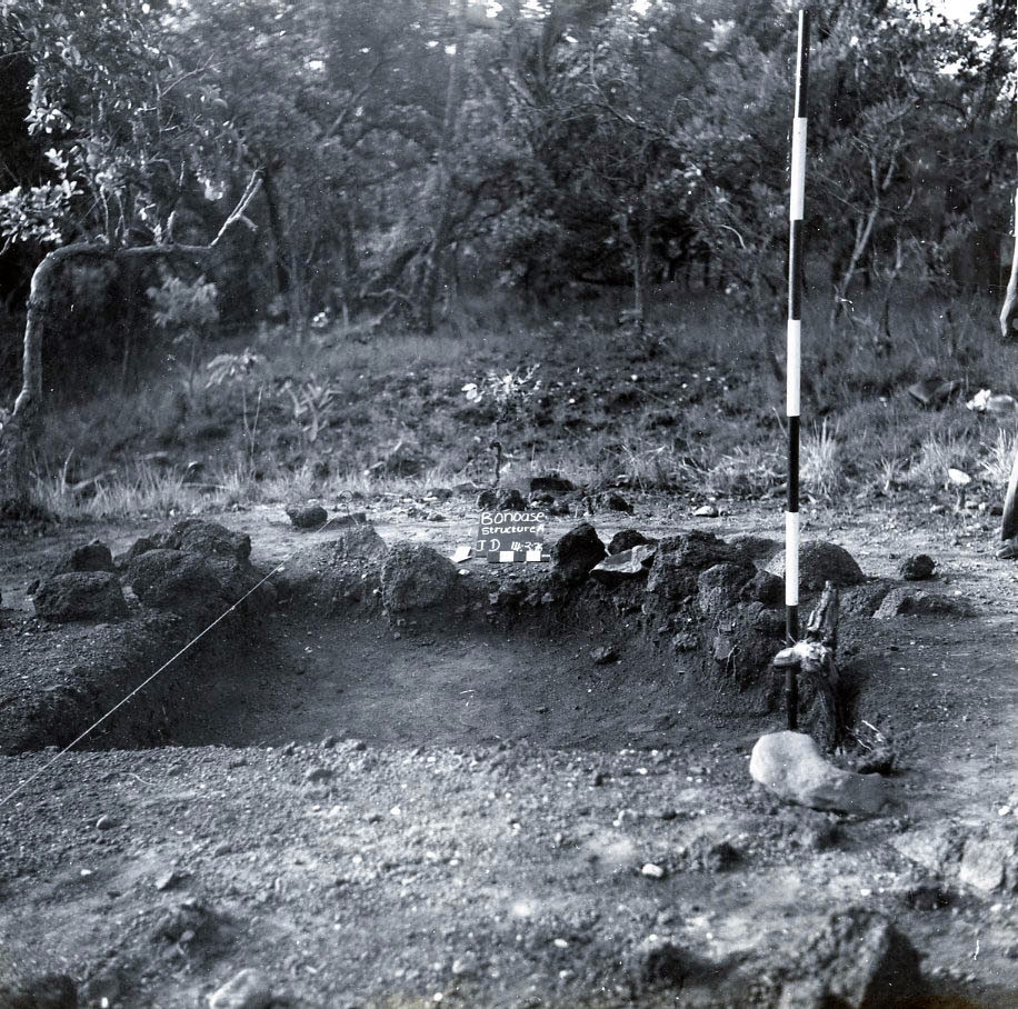 Excavated Unit